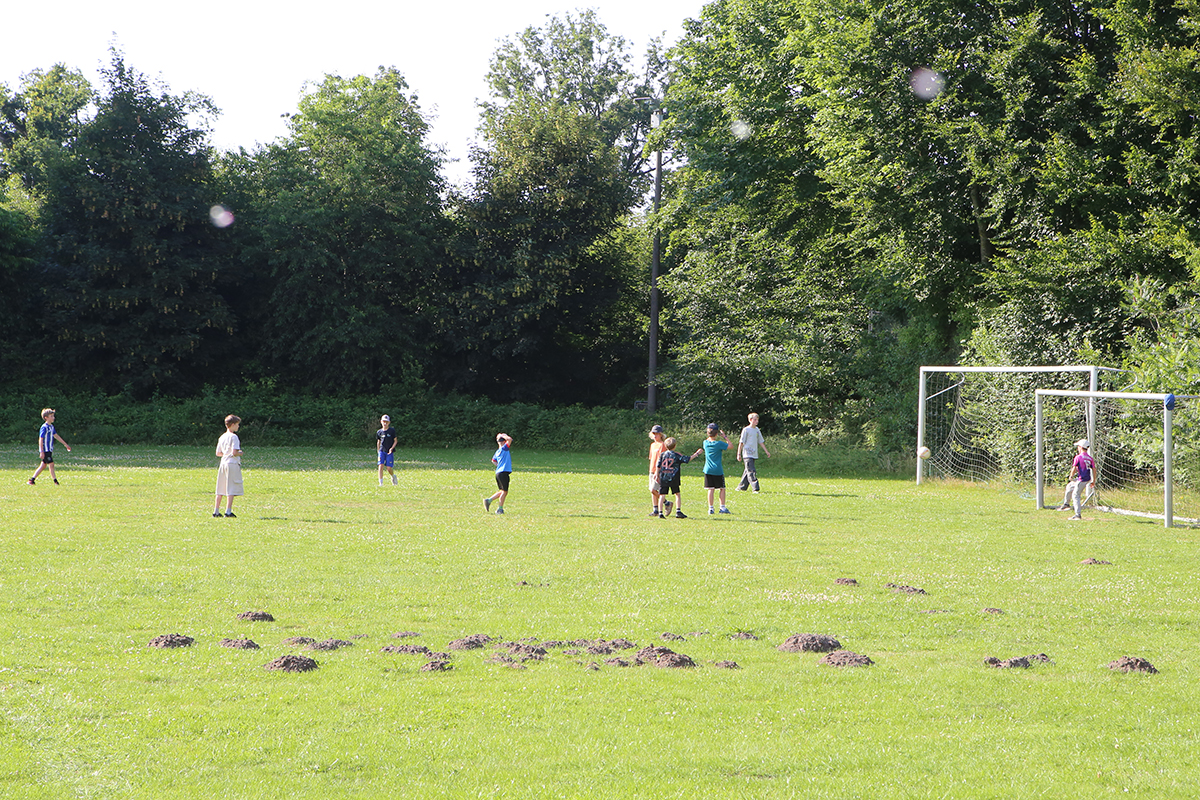Album_14073
