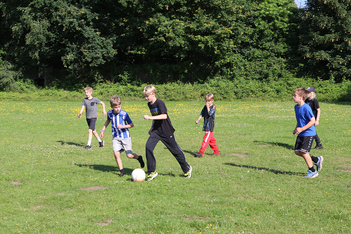 Album_14078