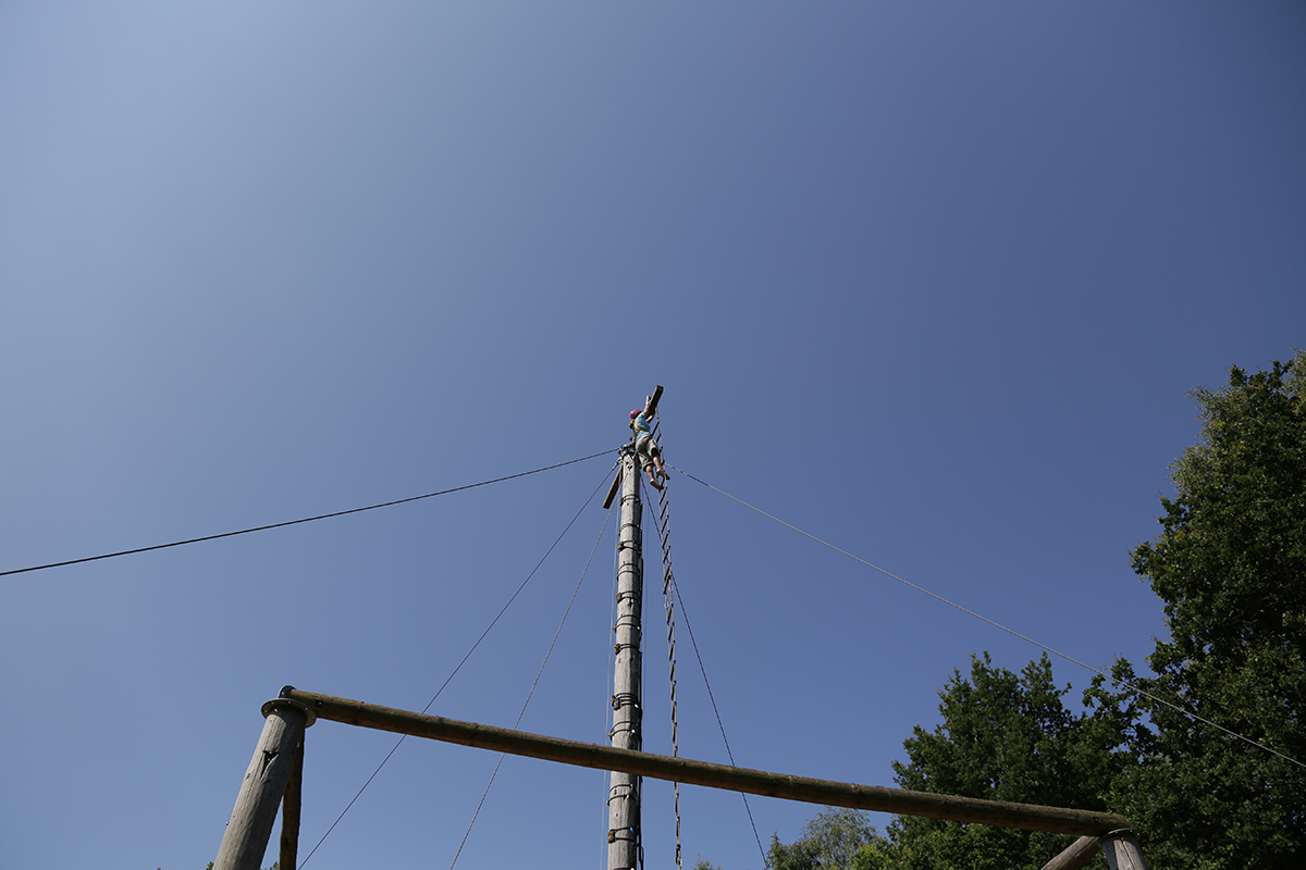 Album_15077