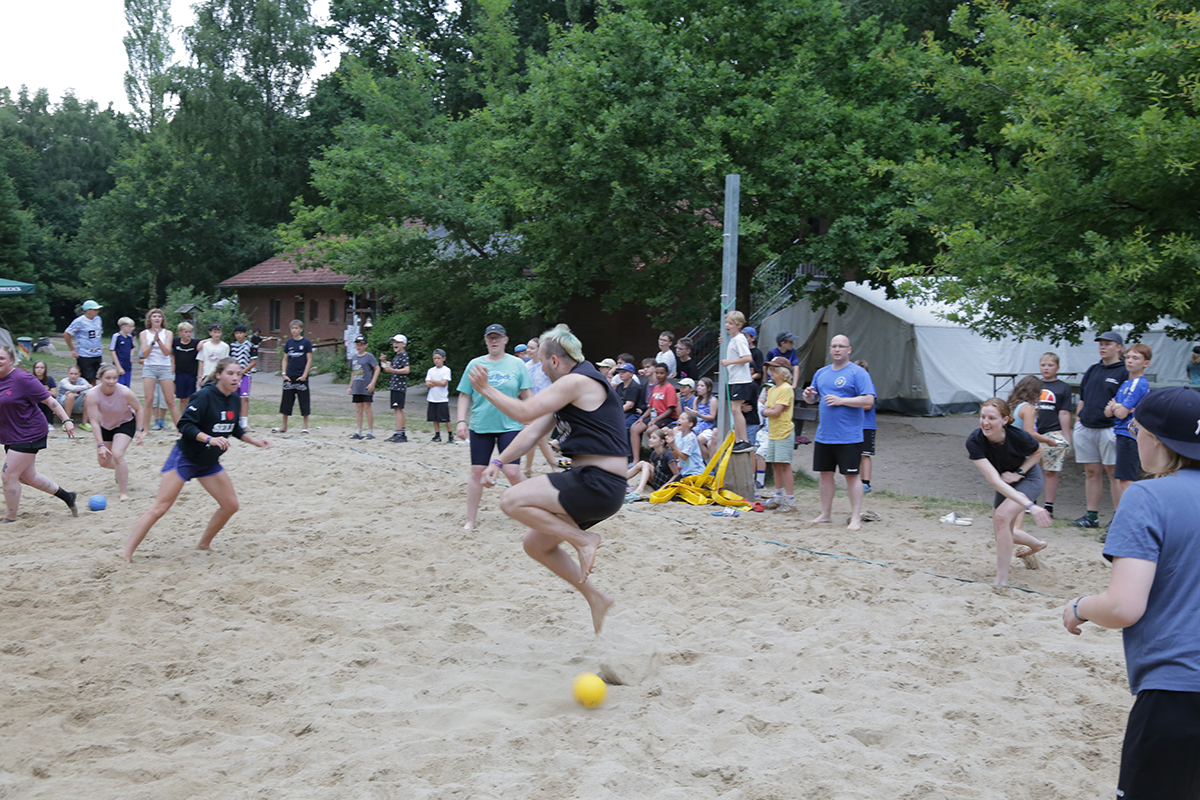 Album_16078