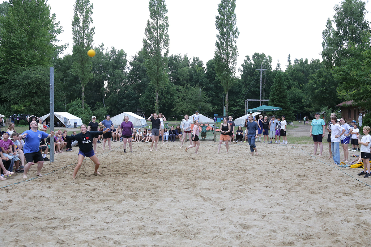 Album_16078
